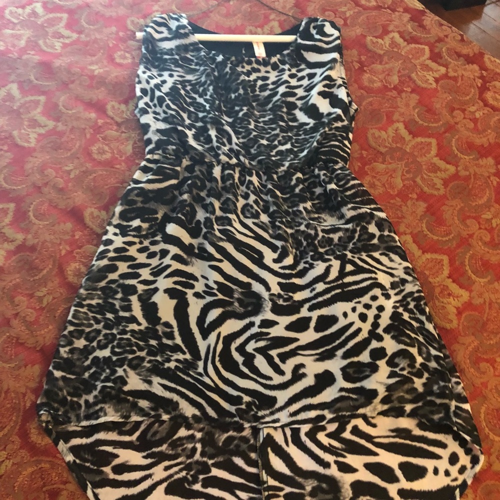 Zebra Print Dress